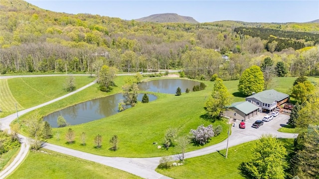 7425 Eelpot Rd, Naples, NY 14512 - aerial view of a nearby body of water and a heavily wooded area
