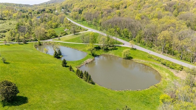 7425 Eelpot Rd, Naples, NY 14512 - bird's eye view of a nearby body of water and a heavily wooded area