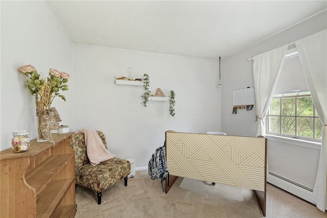 101 Winchell Rd, Owego, NY 13827 - bedroom featuring carpet flooring and baseboard heating
