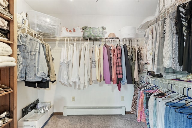 101 Winchell Rd, Owego, NY 13827 - spacious closet with baseboard heating and carpet floors