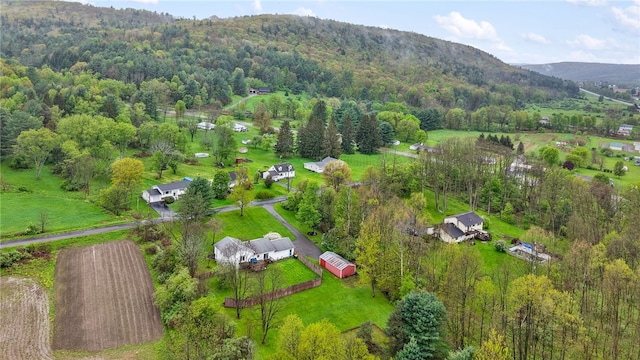 101 Winchell Rd, Owego, NY 13827 - aerial view of sparsely populated area with a heavily wooded area and mountains