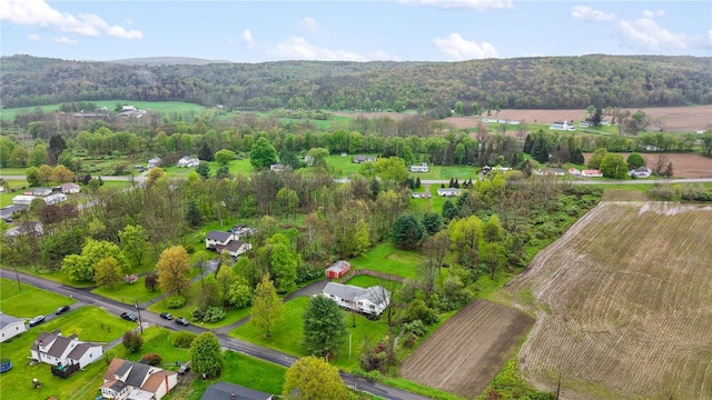 101 Winchell Rd, Owego, NY 13827 - aerial view of property's location featuring rural landscape