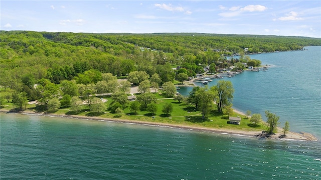 8419 Old Lake Rd, Lodi, NY 14860 - drone / aerial view of a heavily wooded area and a large body of water