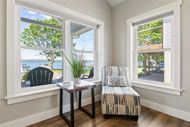 8419 Old Lake Rd, Lodi, NY 14860 - living area featuring a water view, healthy amount of natural light, baseboards, and dark wood-type flooring