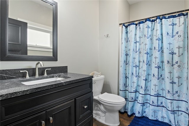 8419 Old Lake Rd, Lodi, NY 14860 - bathroom featuring toilet, vanity, wood finished floors, and a shower with curtain