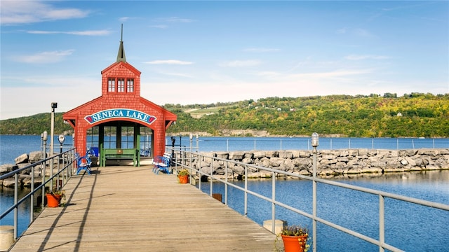 8419 Old Lake Rd, Lodi, NY 14860 - dock featuring a water view