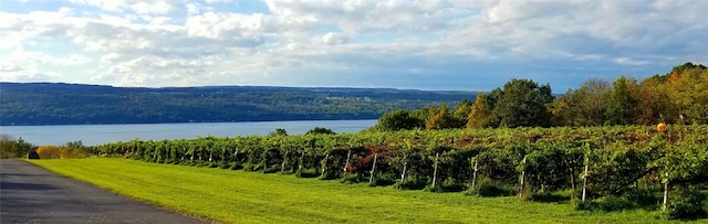 8419 Old Lake Rd, Lodi, NY 14860 - mountain view featuring a large body of water