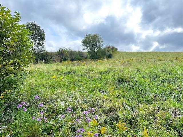 Buck Rd, Otsego, NY 13337