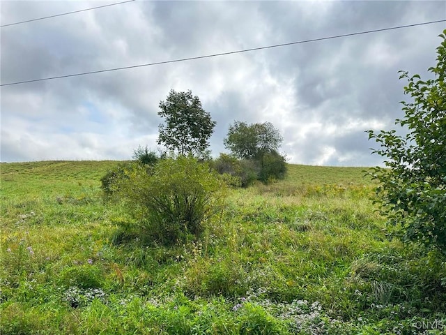 Buck Rd, Otsego, NY 13337