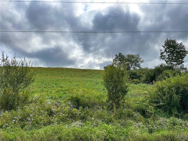 Buck Rd, Otsego, NY 13337