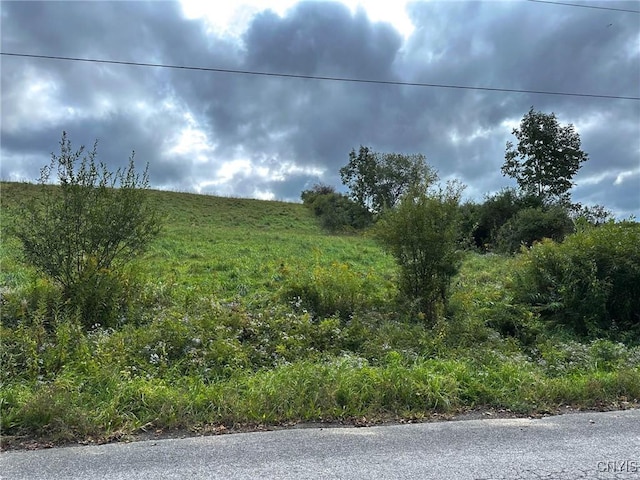 Buck Rd, Otsego, NY 13337