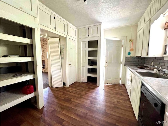 4 S St, Belfast, NY 14711 - kitchen with dishwasher, dark wood finished floors, a sink, light countertops, and tasteful backsplash