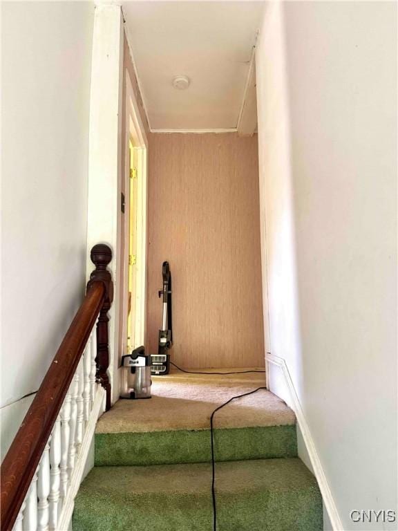 4 S St, Belfast, NY 14711 - stairs with carpet flooring
