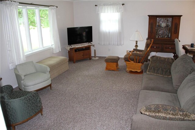 17 Hillview Dr, Bath, NY 14810 - photo 7