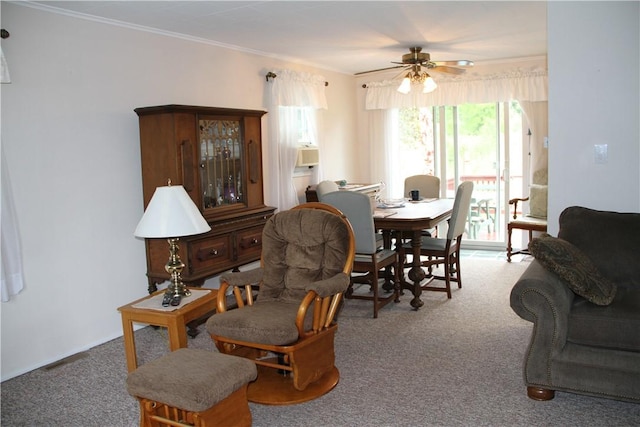 17 Hillview Dr, Bath, NY 14810 - photo 11