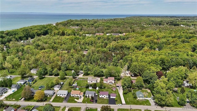 704 Beach Rd, Evans, NY 14006 - view of property location featuring a forest