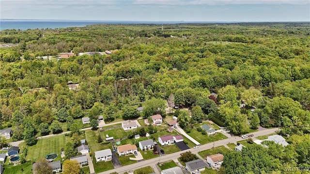 704 Beach Rd, Evans, NY 14006 - aerial overview of property's location featuring a heavily wooded area