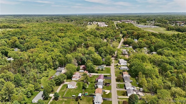 704 Beach Rd, Evans, NY 14006 - bird's eye view of a heavily wooded area