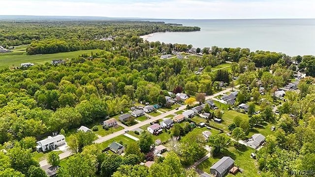 704 Beach Rd, Evans, NY 14006 - aerial view of property's location featuring a large body of water and a forest