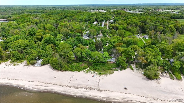 704 Beach Rd, Evans, NY 14006 - bird's eye view of a forest and a large body of water