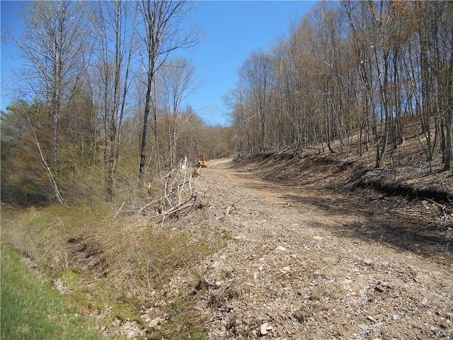 2430 Pine Swamp Rd, Masonville, NY 13839 - photo 1