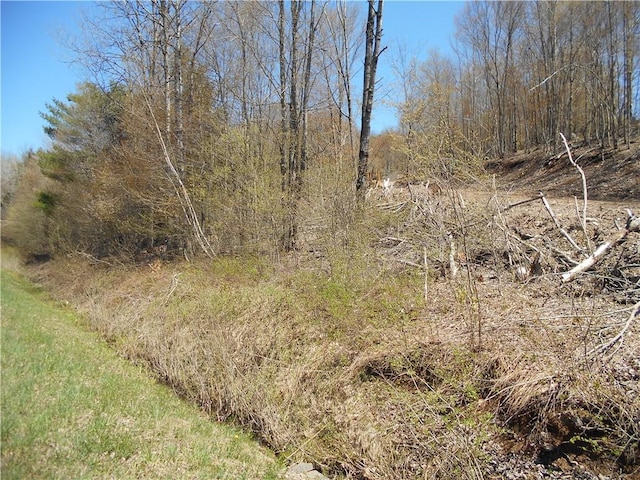 2430 Pine Swamp Rd, Masonville, NY 13839 - photo 2