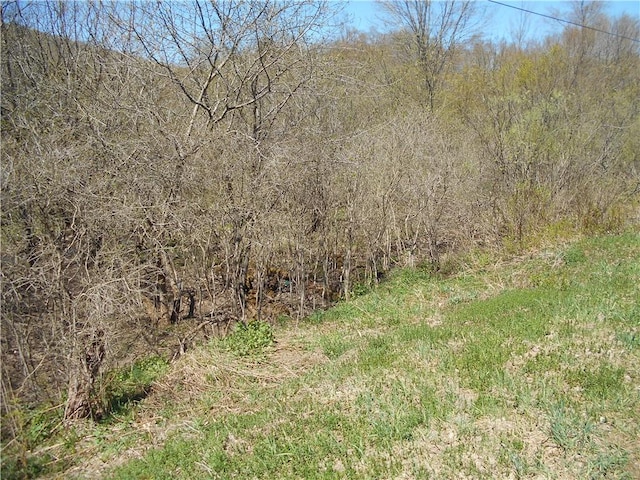 2430 Pine Swamp Rd, Masonville, NY 13839 - photo 4