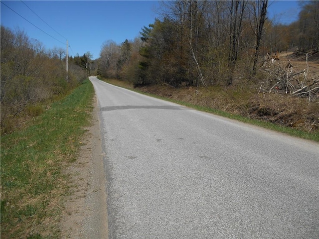 2430 Pine Swamp Rd, Masonville, NY 13839 - photo 5