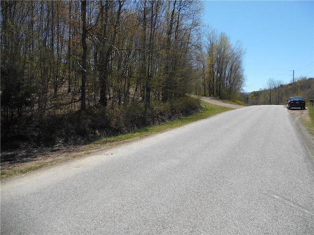 2430 Pine Swamp Rd, Masonville, NY 13839 - photo 6