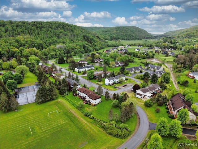 26 Pine Tree Village Rd Unit 26, Ellicottville, NY 14731 - aerial view of residential area with a heavily wooded area