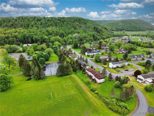 26 Pine Tree Village Rd Unit 26, Ellicottville, NY 14731 - aerial view of residential area featuring a forest