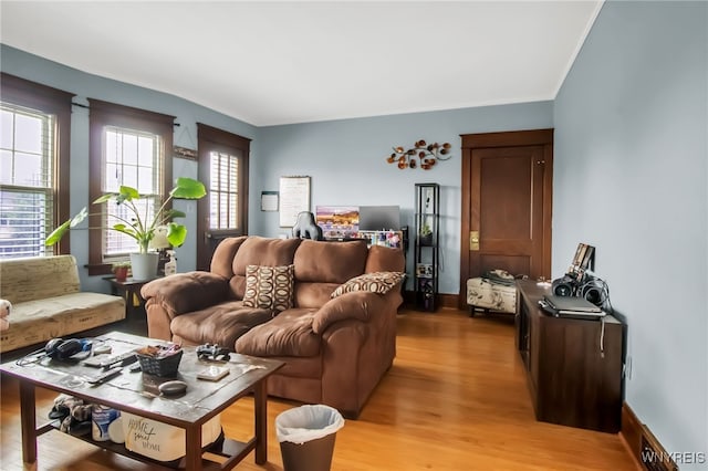 75 N Park Ave, Buffalo, NY 14216 - living room with light wood-style flooring