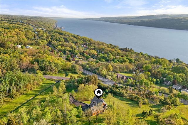 436 Steuben St, Reading, NY 14891 - aerial view of property and surrounding area with a large body of water and a forest