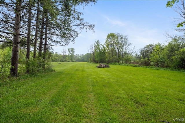 3583 W Seneca Tpke, Onondaga, NY 13215 - view of green lawn