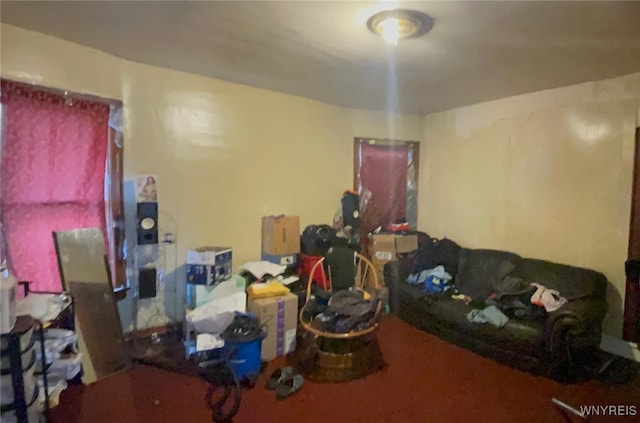 497-499 Riley St, Buffalo, NY 14208 - view of living room