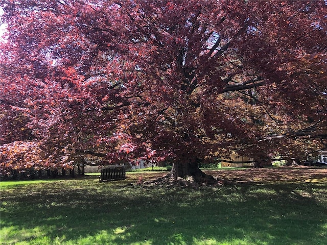 700 Rock Beach Rd, Irondequoit, NY 14617 - view of green lawn