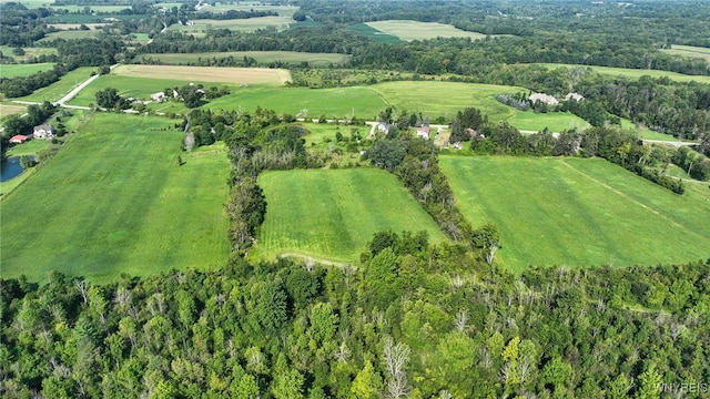 3405 E Blood Rd, Marilla, NY 14037 - photo 21