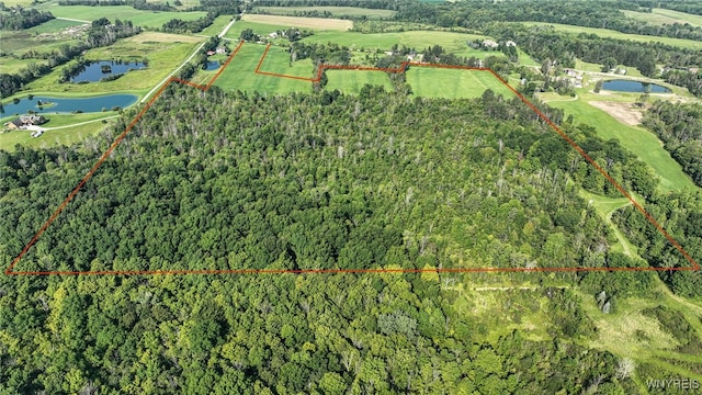 3405 E Blood Rd, Marilla, NY 14037 - photo 24