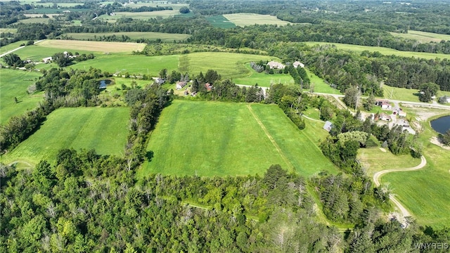 3405 E Blood Rd, Marilla, NY 14037 - photo 26