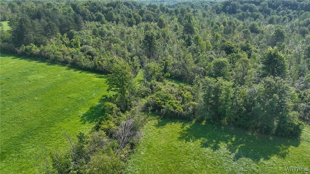 3405 E Blood Rd, Marilla, NY 14037 - photo 31