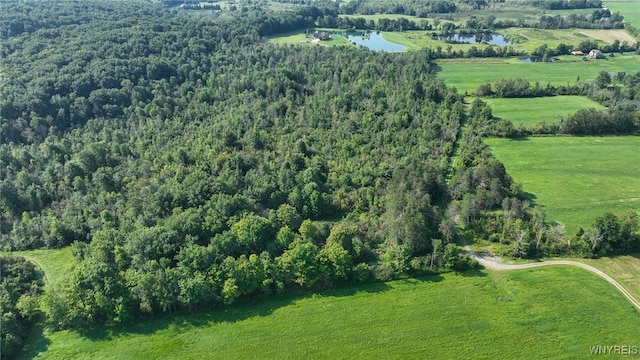 3405 E Blood Rd, Marilla, NY 14037 - photo 35