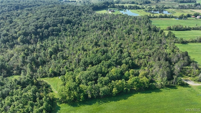 3405 E Blood Rd, Marilla, NY 14037 - photo 36