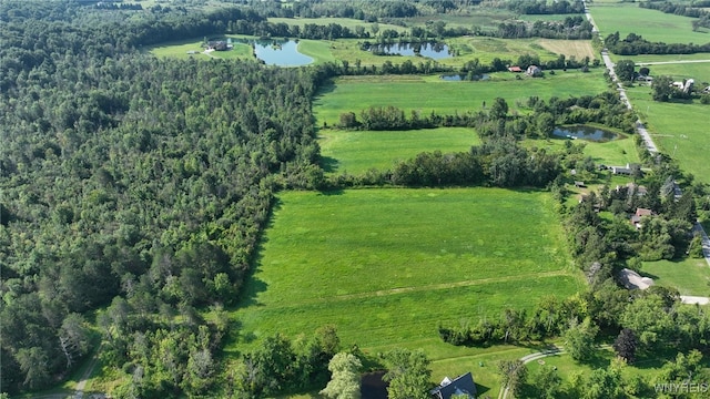3405 E Blood Rd, Marilla, NY 14037 - photo 37