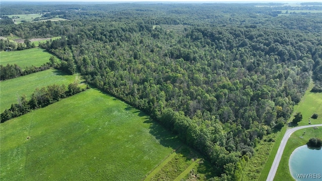 3405 E Blood Rd, Marilla, NY 14037 - photo 41