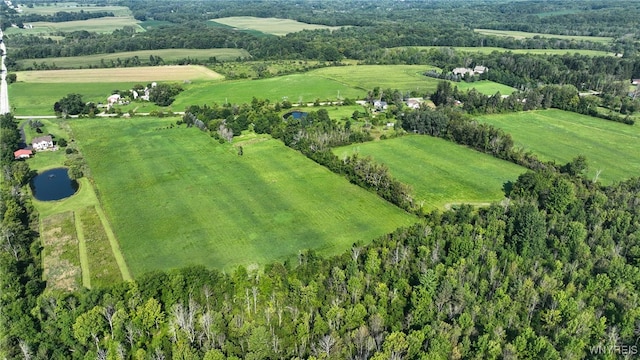 3405 E Blood Rd, Marilla, NY 14037 - photo 45