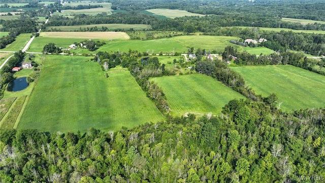 3405 E Blood Rd, Marilla, NY 14037 - photo 46