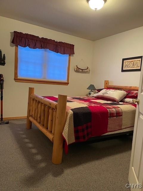 103 Onondaga Rd, Webb, NY 13420 - bedroom featuring carpet flooring