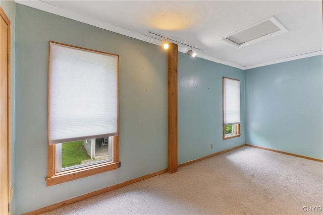 10 Garfield St Unit 10, Cortland, NY 13045 - empty room with rail lighting, attic access, carpet flooring, and baseboards