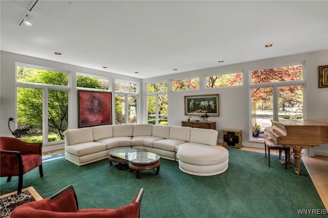 52 Hidden Pines Ct, Amherst, NY 14051 - living area featuring plenty of natural light and rail lighting