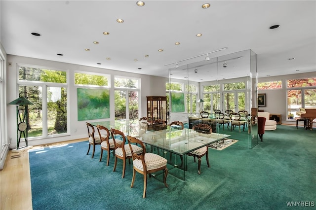 52 Hidden Pines Ct, Amherst, NY 14051 - carpeted dining space featuring plenty of natural light, track lighting, and recessed lighting